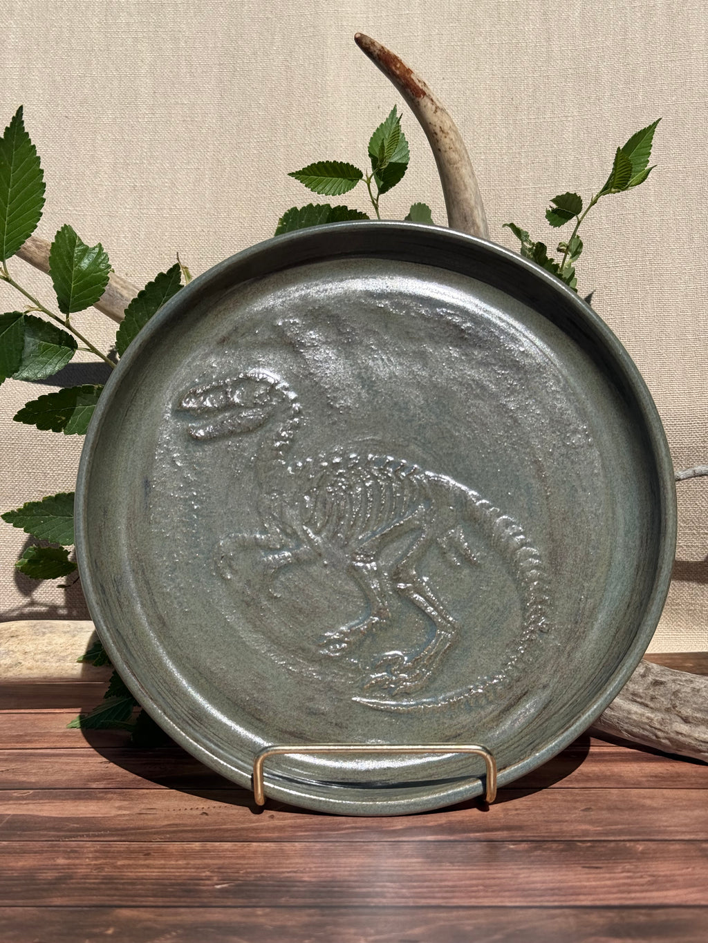 T Rex Fossil Plate