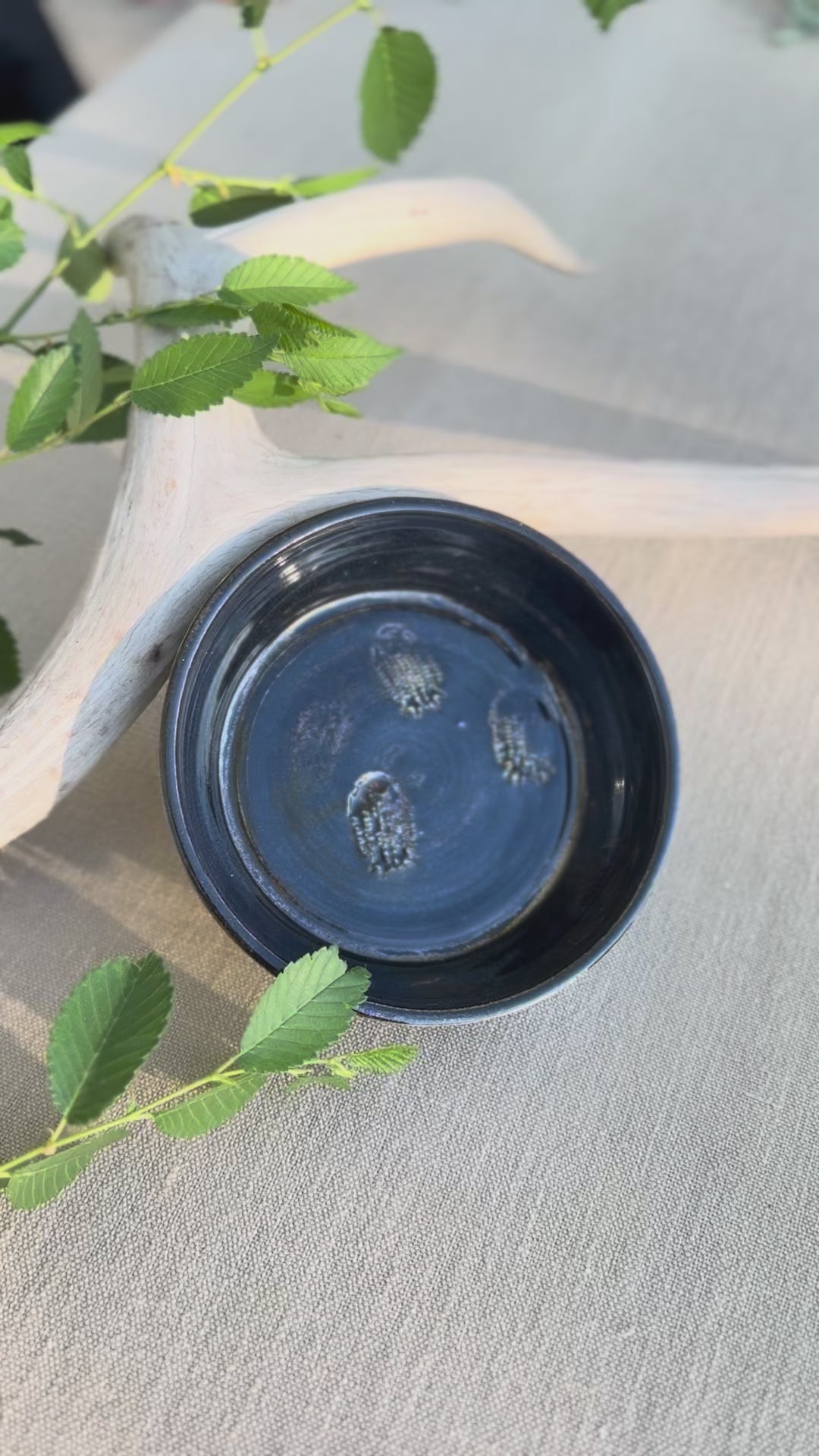 Trilobite Garlic Grater & Balsamic + Oil Dish